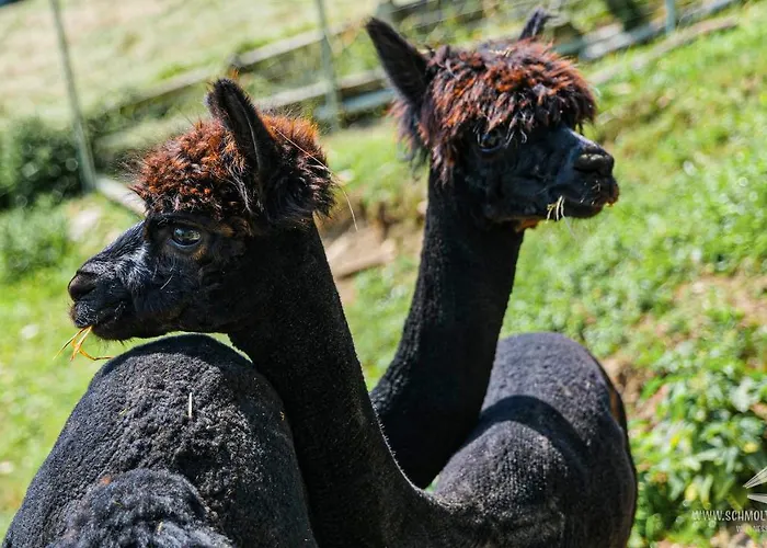 Horská chata Schmolti's